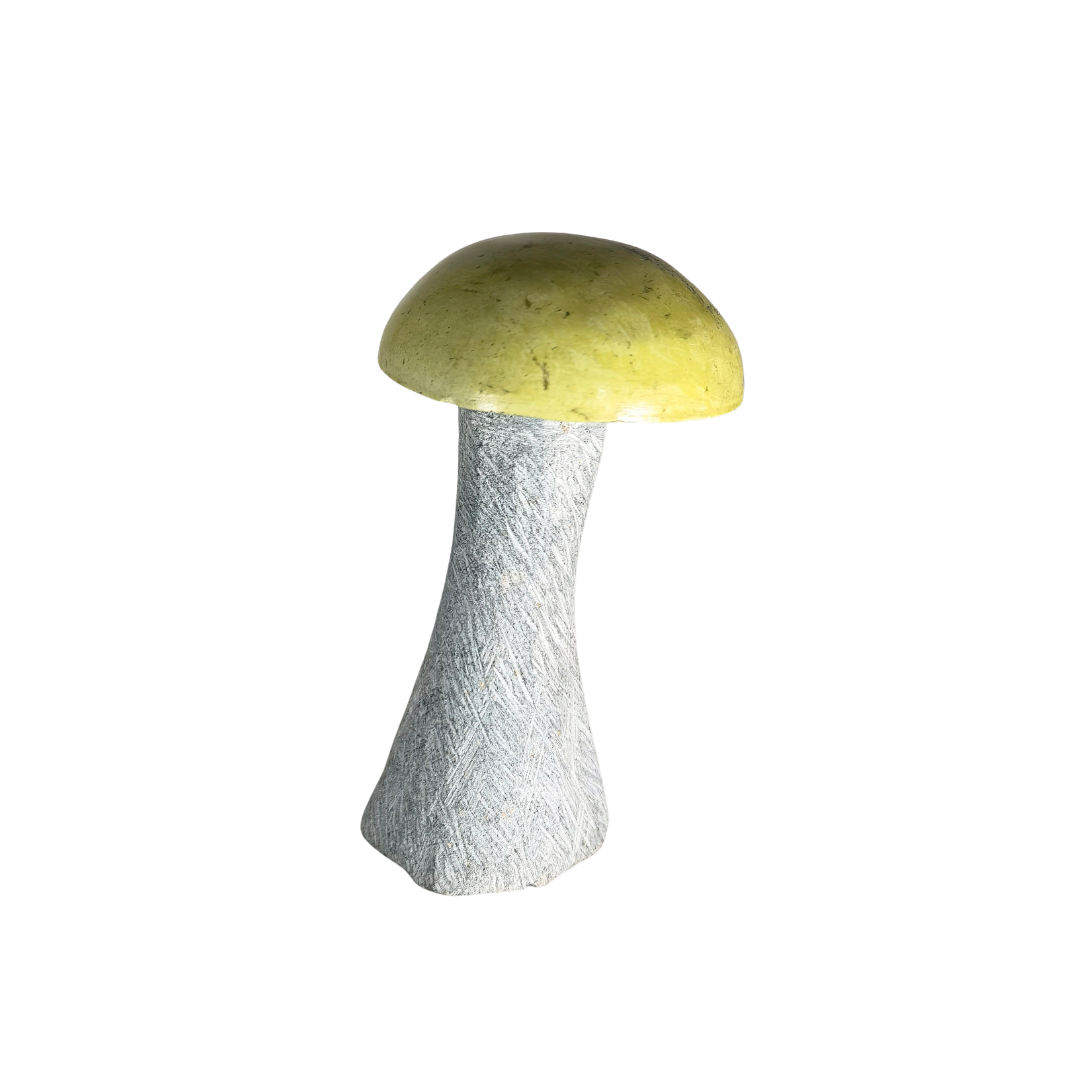 5__1_.png