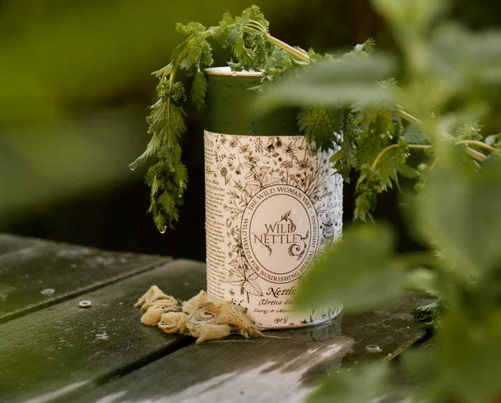 nettle5.webp