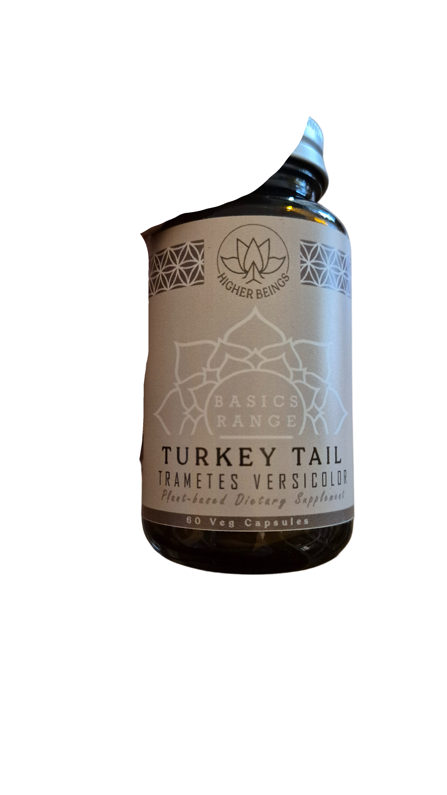 turkey_tail_hb.png