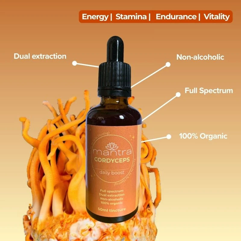 Cordyceps Tincture