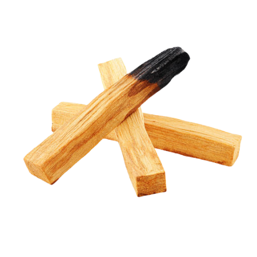 Palo_Santo.png