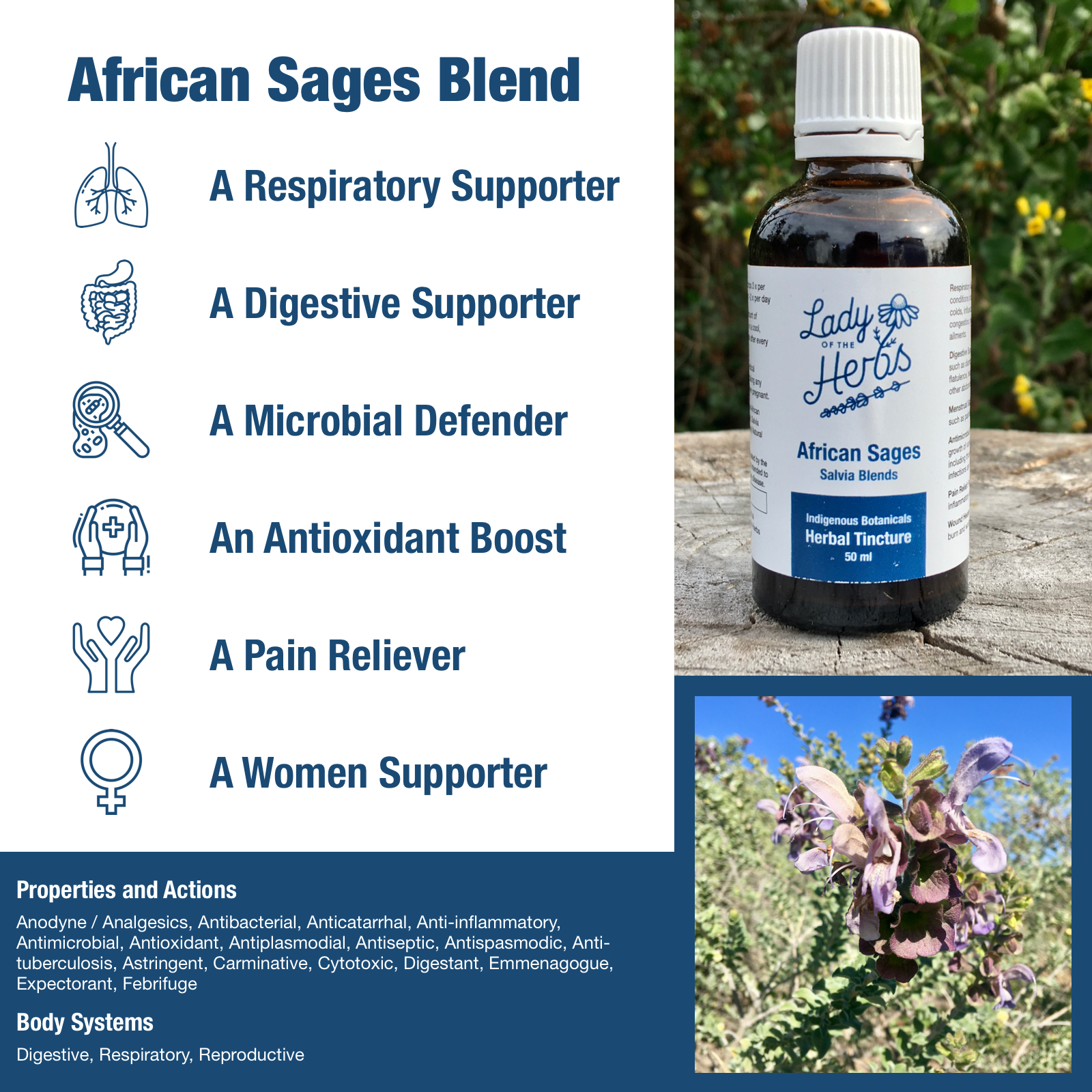 Sage-Blend.png