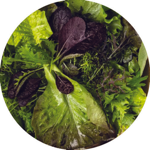 Salad.jpg