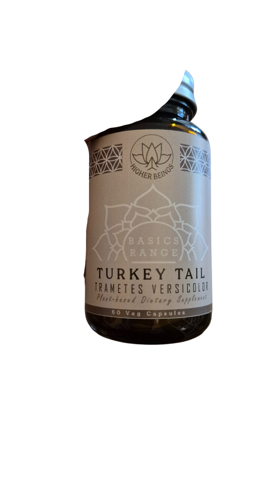 turkey_tail_hb.png