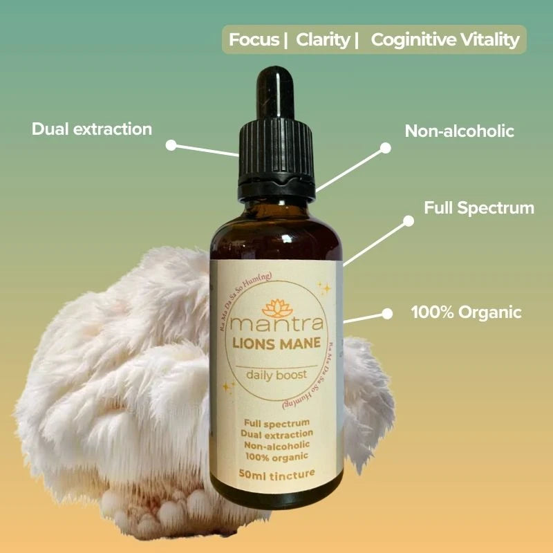 Lion's Mane Tincture