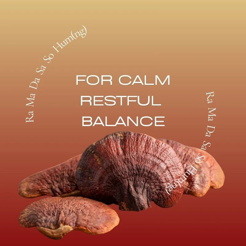 Reishi
